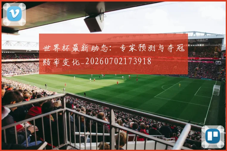 世界杯最新动态：专家预测与夺冠赔率变化_20260702173918