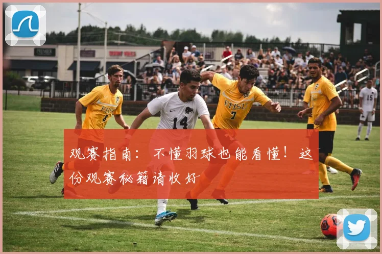 观赛指南：不懂羽球也能看懂！这份观赛秘籍请收好