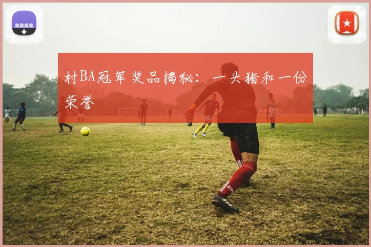 村BA冠军奖品揭秘:一头猪和一份荣誉