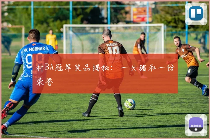 村BA冠军奖品揭秘:一头猪和一份荣誉