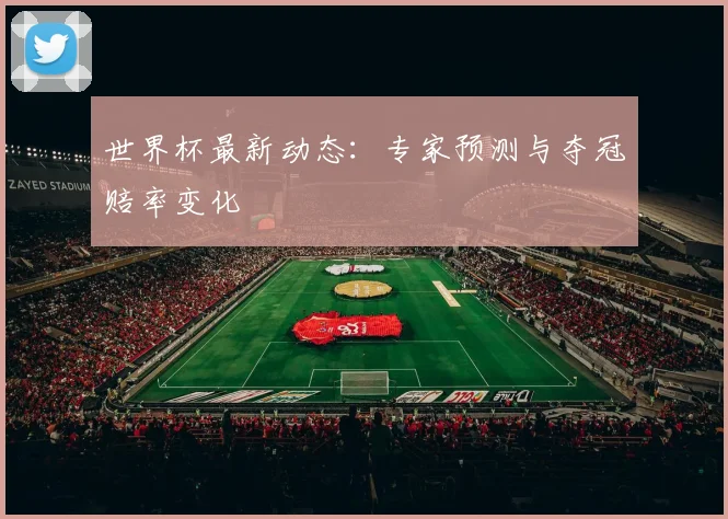 世界杯最新动态：专家预测与夺冠赔率变化