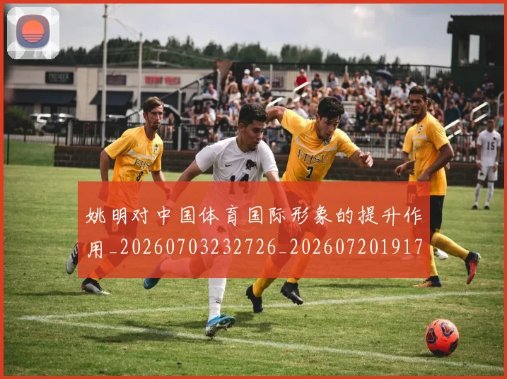 姚明对中国体育国际形象的提升作用_20260703232726_20260720191746